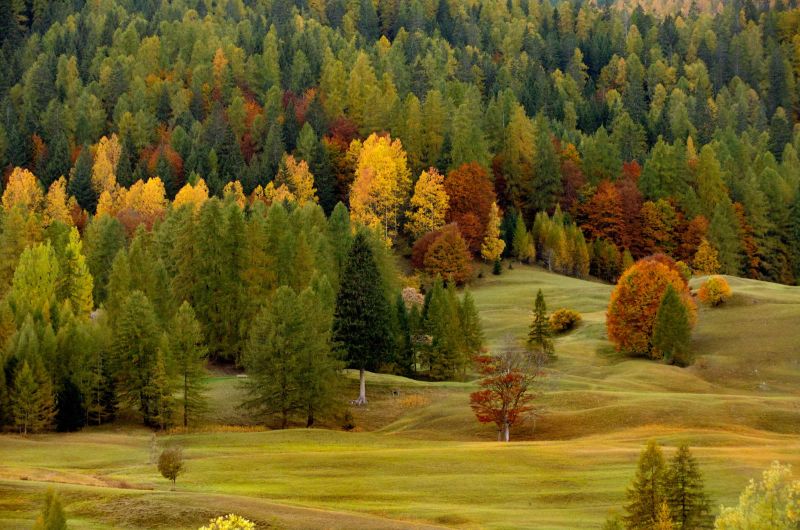 lautunno  qui.jpg